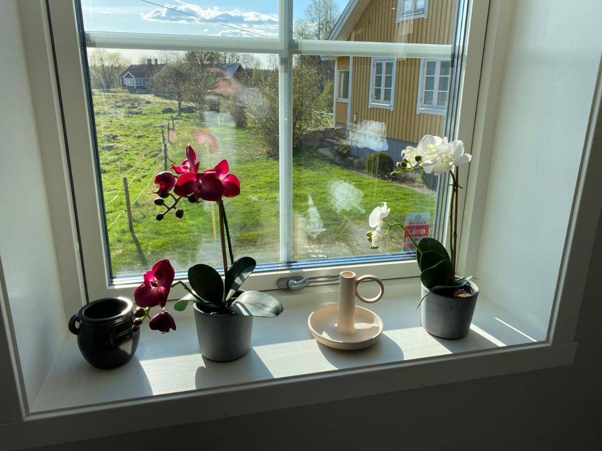 Skog Fegen Naera Ullared Villa Екстериор снимка